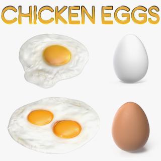 3D Chicken Eggs Collection model