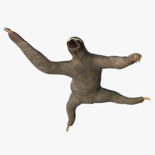 Sloth Rigged 3D