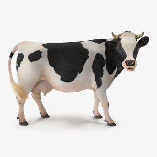 3D model Dairy Cow with Fur Rigged