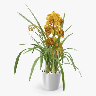 Orchid Pot Yellow 3D