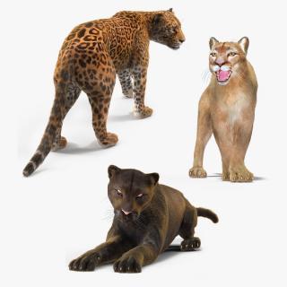 3D Big Cats Fur Collection model