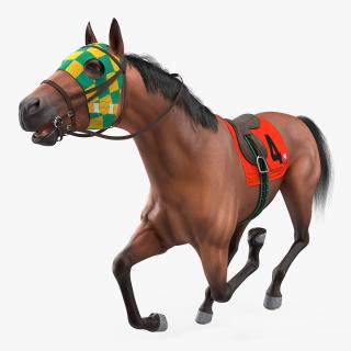 Bay Racehorse Fur Rigged 3D model