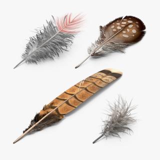 3D Feathers Collection 2