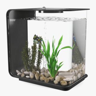 3D Designer Rectangle Aquarium Black with Fish model