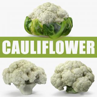 Cauliflower 3D Models Collection 3D