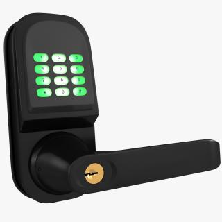 3D Smart Lock with Keypad Door Knob Black model