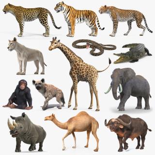 3D Rigged African Animals Collection 10