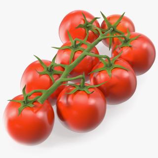 3D Fresh Cherry Tomatoes on the Vine model