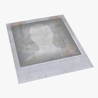 3D model Old Grunge Instant Photo Frame