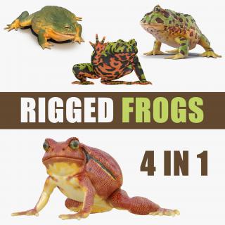 3D model Rigged Frogs 3D Models Collection 3