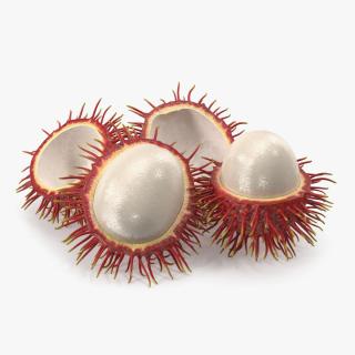 3D Rambutan Fruit Halves