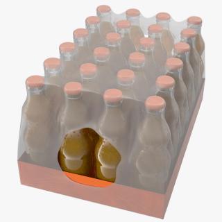 24 Orange Glass Bottle Case 3D