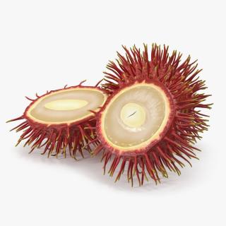 3D Tropical Fruit Rambutan model