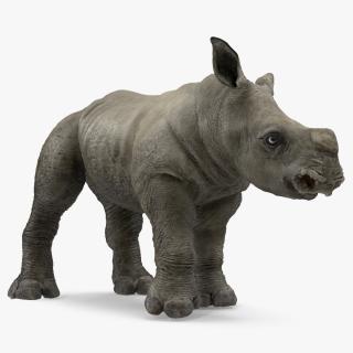 Baby Rhino Standing Pose 3D model