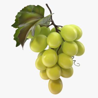 Bunch of Fresh Green Grapes 3D