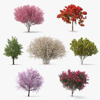 Flowering Bushes and Trees Collection 4 3D model