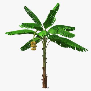 3D Banana Tree with Ripe Yellow Banana Cluster model