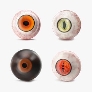 Realistic Animal Eyes Collection 5 3D model