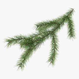 Green Pine Branch 3D