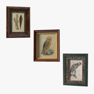 Picture Frames Collection 5 3D