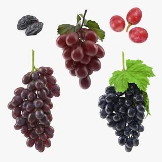 Grapes Collection 5 3D model