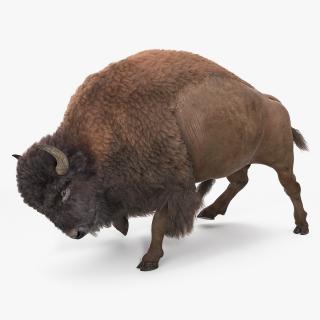 3D model American Bison with Fur Rigged