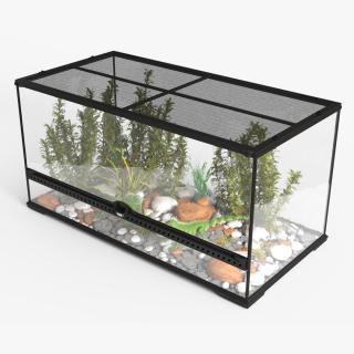 3D model Exotic Animals Long Terrarium with Pair of Iguanas