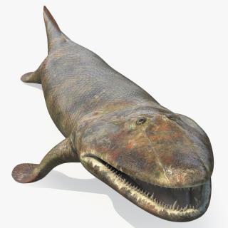 Tiktaalik Extinct Sarcopterygian 3D