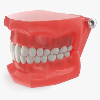 3D model Typodont Teeth Model