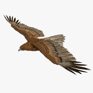 Realistic Flying Gurney Eagle 3D model