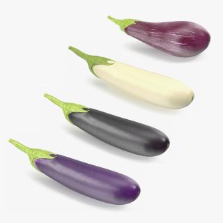 3D model Eggplants Collection