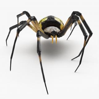 3D model McKinley Spider