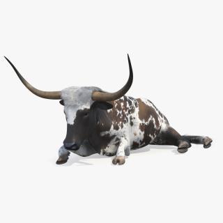 3D Lying Longhorn Bull Mottled Brown model