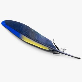 3D Amazon Parrot Feather