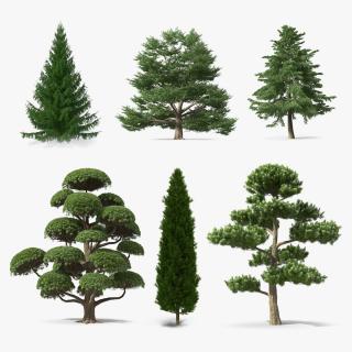 3D Evergreen Trees Collection 3 model