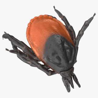 Tick Bite Pose 3D model