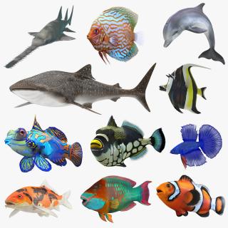 Fishes Collection 5 3D model