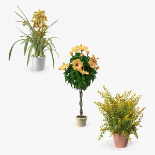 Flower Pots Collection 4 3D model