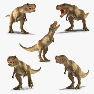 Animated Tyrannosaurus Rex Collection 3D