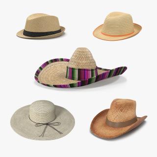 3D Straw Hats Collection 2 model