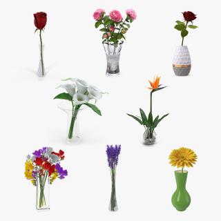 Flowers in Vases Collection 2 3D model