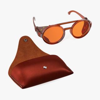 Sunglasses with Leather Case Collection 3D model