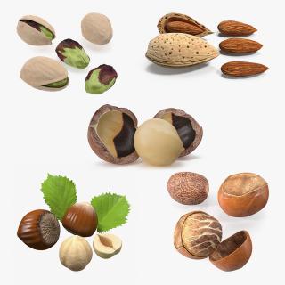 Opened Nuts Collection 2 3D model