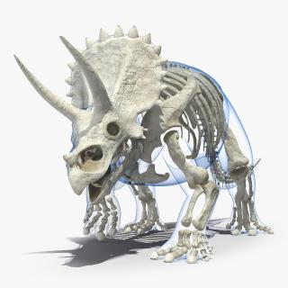 3D model Triceratops Skeleton Walking Pose with Transparent Skin