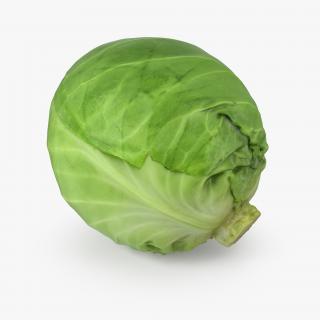 Cabbage 3D model