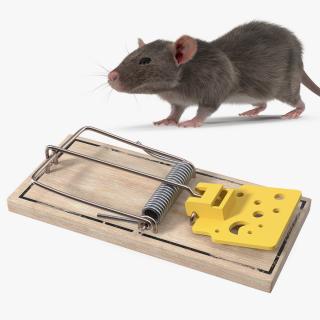 Rigged Rat with Trigger Trap Collection 3D model