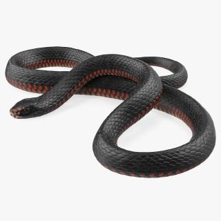 3D Coiled Black Snake model