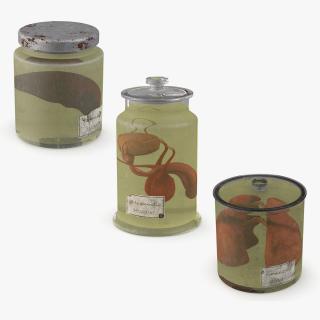 3D Human Organs in a Old Jar Collection 2 model