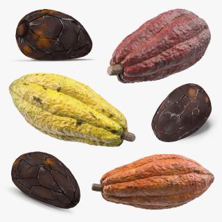 3D Cacao Fruits and Beans Collection model