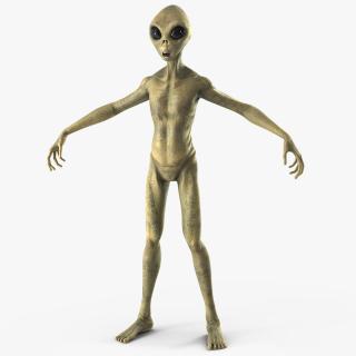 Humanoid Alien Creature Rigged for Modo 3D model